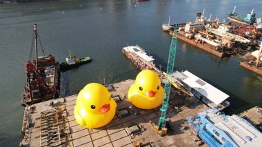 Hong Kong - 28 Mayıs 2023: Rıhtımda iki dev lastik ördek hazır. Florentijn Hofman 'ın dev Rubber Duck Heykeli, Hong Kong' u ziyaret edin. Hong Kong halkı dikkatleri üzerine çekiyor.