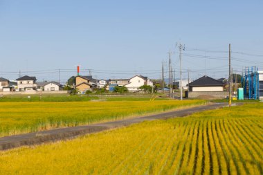 Kanuma-shi, Tochigi, Japonya yakınlarındaki güzel bir köydür.