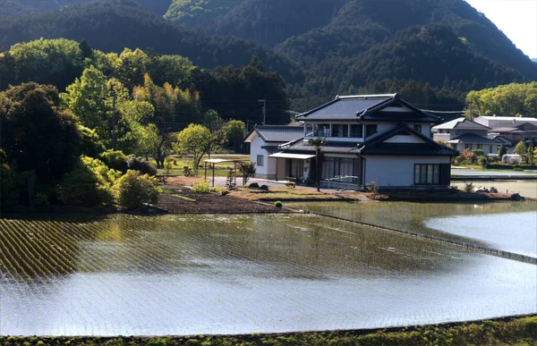 Kanuma Shi Jest Jedną Pięknych Wiosek Pobliżu Tochigi Japonia Sezonie — Zdjęcie stockowe