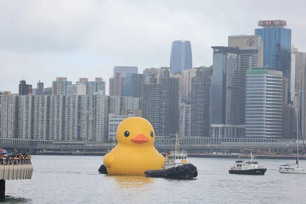 Hongkong Juni 2023 Eine Der Gummi Enten Schwimmt Der Nähe — Stockfoto