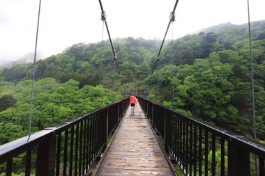 Kız Kinugawa Onsen 'deki asma köprüden geçiyor.