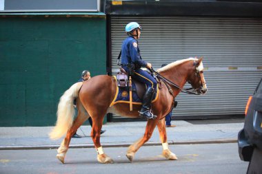 13 Ekim 2016 'da New York' ta New York Polis Departmanı at devriyesi. 1858 'den beri NYPD Atlı Birimi New York sokaklarında devriye geziyor.