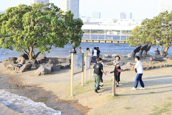 Tokyo May 2023 Young People Playing Odaiba Seaside Park Odaiba — Stock Photo, Image