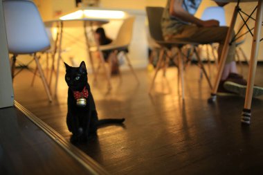 Siyah kedi Taichung 'daki kafede yürüyor, atlamaya hazır.