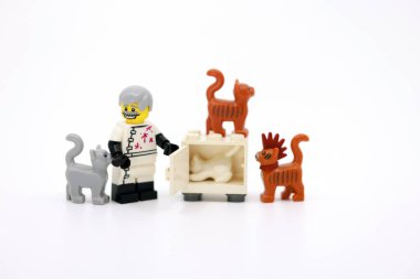 Hong Kong - Temmuz 12024: Bir bilim adamı Schrodinger 'in kedisinin deneyini yapmaya çalışıyor