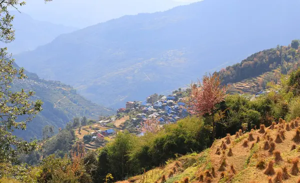 Nepal 'deki Annapurna sıradağları yakınlarındaki kamp ve pansiyon, vajina tepesi yürüyüş çemberi.