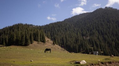 Grigoriev ve Semenov vadisi, Kungey Alatau sıradağlarında yer alan Kırgızistan 'daki muhteşem manzaralardan biridir.