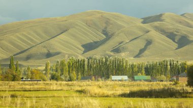 Issyk-Kul göl bölgesindeki vahşi doğa ve bozkır, Orta Asya 'daki bir Jeti-Oğuz ve Tong bölgesi, Kırgızistan