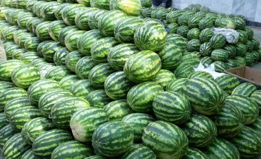 Siyob Çarşısı 'na karpuzlar yerleştirildi. Semerkand' ın en büyük pazarı olan Siab Çarşısı da denir.