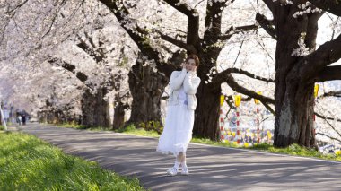 Japonya, Sendai 'de, Hitome Senbonzakura' da kiraz çiçeklerini ziyaret eden bir kadın.