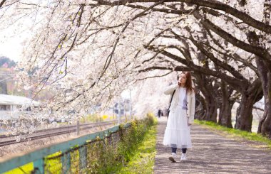 Japonya, Sendai 'de, Hitome Senbonzakura' da kiraz çiçeklerini ziyaret eden bir kadın.