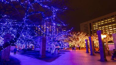 Fukuoka, Japonya - 17 Ocak 2025: Noel ve yeni yıl kutlamaları sırasında Tenjin Central Park 'taki Işıklar Ormanı. 