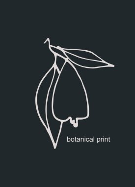 Yaprakları ve armutları olan vektör grafiği. Dekoratif basılabilir sanat. Baskı, poster, kırtasiye, logo, damgalama, davetiye, sosyal medya paylaşımları için çağdaş tasarım