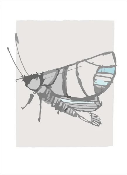 Vektorgrafik Mit Fantasie Motten Schmetterlingen Bleistiftzeichnung Skizze Dekorative Druckbare Kunst — Stockvektor