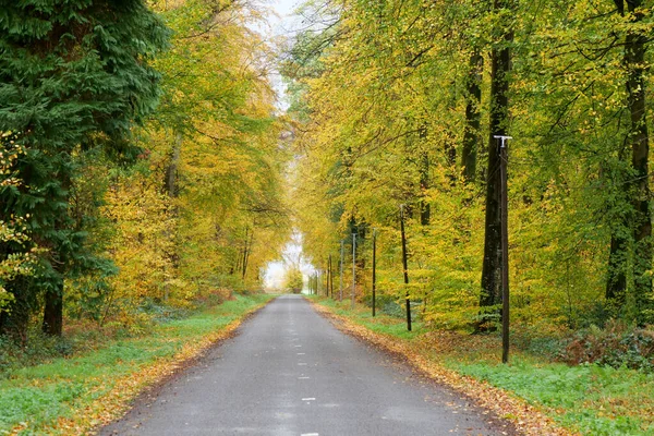 Uma Pequena Estrada Interior Outono — Fotografia de Stock