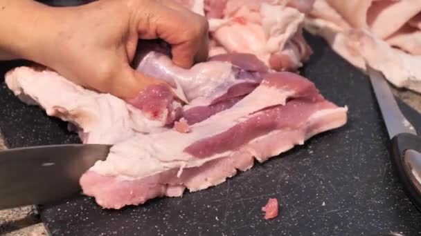 Close Woman Hands Cutting Meat — Stockvideo
