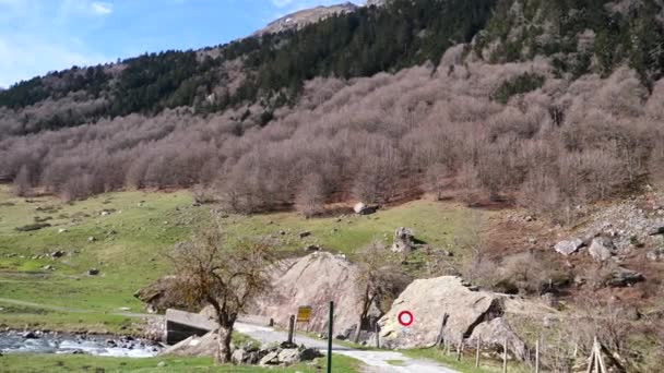 Pireneje Francuskie Gave Brousset River Laruns Francja — Wideo stockowe