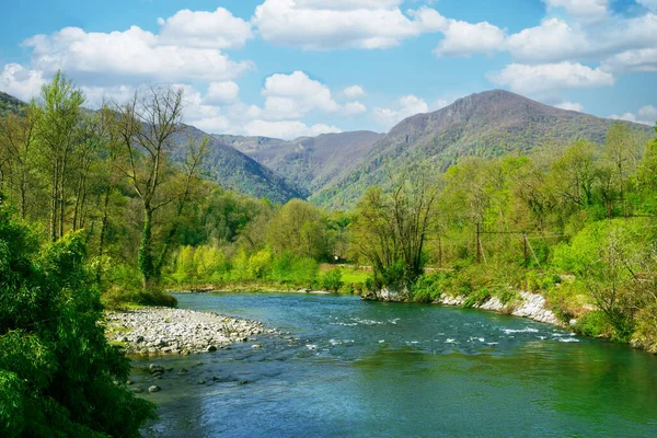 Řeka Gave Pau Poblíž Saint Bigorre Francii — Stock fotografie