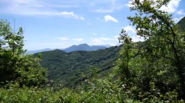 Yazın Fransız Pirenesi 'nde dağ manzarası