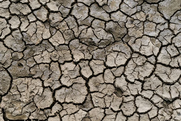 粘土や砂で乾燥した土の質感 クローズアップ — ストック写真
