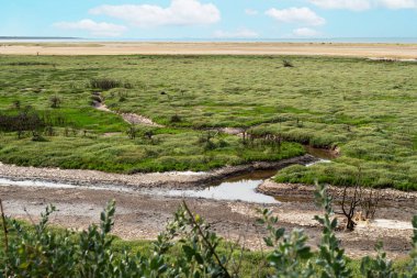  Aiguillon sur Mer ve tabiat lagünü Casse de la Belle Henriette, Vendee, Fransa
