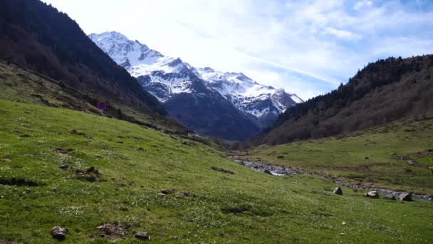 Franska Pyrenéerna Floden Gave Brousset Laruns Frankrike — Stockvideo