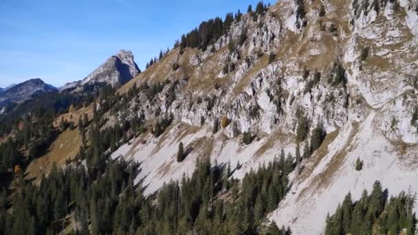 Landskap Franska Pyrenéerna Berg — Stockvideo