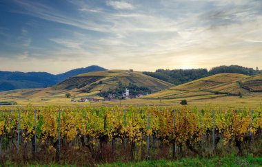 Fransa 'nın Alsas üzüm bağlarının ortasında küçük bir köy.