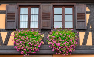 Yarı ahşap evde sardunyalı pencereler, Alsace, Fransa