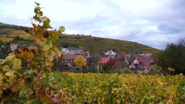 Malá Vesnice Uprostřed Alsaských Vinic Francie — Stock video