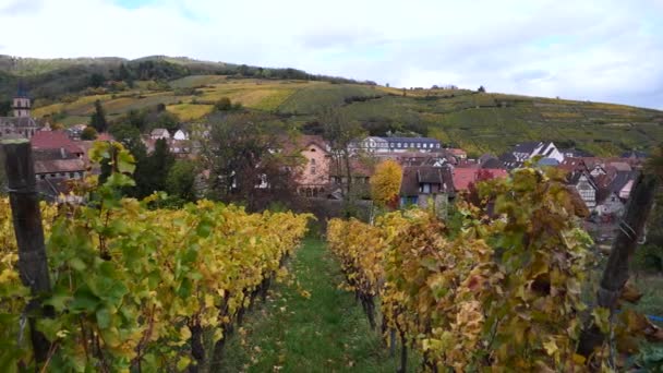 Kleines Dorf Inmitten Der Elsässischen Weinberge Frankreich — Stockvideo