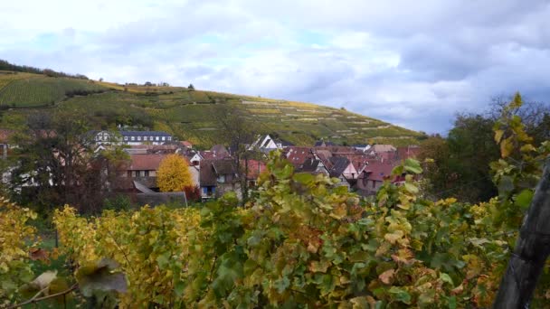Malá Vesnice Uprostřed Alsaských Vinic Francie — Stock video