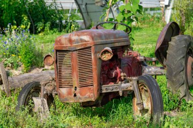 Eski bir traktör çim tarlasında oturuyor. Traktör paslanmış ve ahşap bir sapı var. Traktör çiçekler ve bitkilerle çevrili. Sahneye huzurlu ve nostaljik bir atmosfer veriyor.