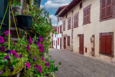 Saint Jean Pied de Port, kaldırımı tuğlalı ve bir dizi evi olan bir sokak. Evler beyaz ve kahverengi. Kaldırımdaki saksıda çiçekler var.