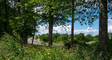 Ağaçlar ve sarı çiçeklerle çevrili huzurlu ve sakin bir yol manzarası. Yol her iki taraftaki ağaçlarla kaplı, doğal ve rahatlatıcı bir atmosfer yaratıyor.