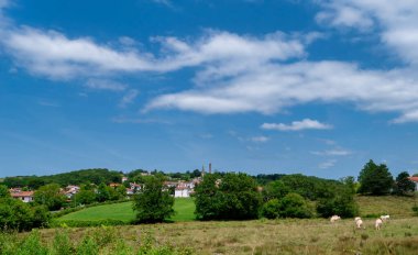 İneklerin otladığı bir tarla ve arka planda bir köy. Gökyüzü bazı bulutlarla mavidir. Pireneler, Fransa