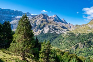 Açık mavi gökyüzü ve önünde ağaçlar olan bir dağ sırası. Ağaçlar uzun ve yeşil, gökyüzü parlak ve berrak. Huzurlu ve huzurlu bir sahne.