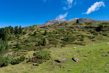 Açık mavi gökyüzü ve birkaç ağacı olan bir dağ sırası. Çimler yeşil ve kayalar tarlaya saçılmış.