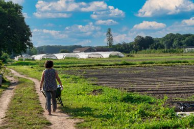 Bir kadın tarlada bir patikada yürüyor. Gökyüzü mavi ve arka planda bulutlar var.
