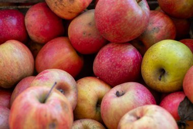 Bazıları yeşil olmak üzere bir yığın elma. Elmaların hepsi farklı boyutlarda ve renklerde.