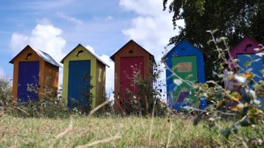 Renkli arı kovanları bir tarlada sıraya dizildi. Kovanlar mavi, kırmızı ve sarı olmak üzere farklı renklerdedir. Huzurlu ve huzurlu bir sahne.