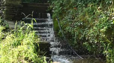 Küçük bir su akıntısı taştan bir duvardan aşağı akıyor.