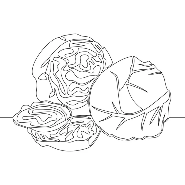 连续单行绘图蔬菜两个卷心菜图标矢量概念 — 图库矢量图片