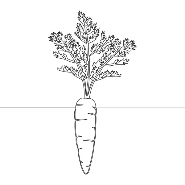 Continuous Uma Única Linha Desenho Cenoura Vegetal Crescer Cenoura Planta — Vetor de Stock