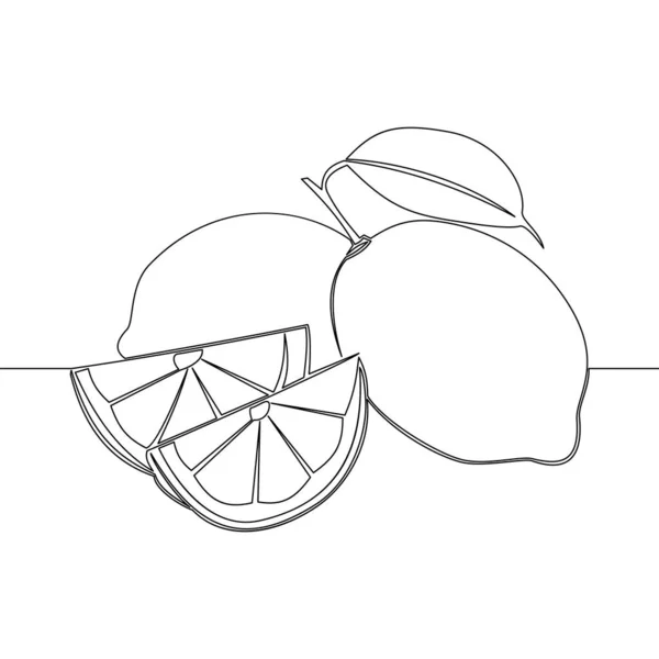 连续一行画柠檬酸橙图标矢量概念 — 图库矢量图片