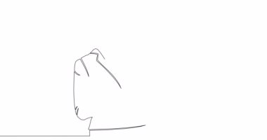 Kişisel çizim çizimi animasyonu iş kadını dizüstü bilgisayarda çalışıyor. Tek satır çizilmiş konsept video.
