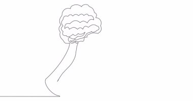 Kendi kendine çizim çizimi animasyon brokoli sebzeleri silueti sürekli tek bir çizgi çizili konsept video