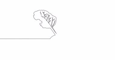 Kişisel çizim çizgisi animasyonu tamamen sağlıklı organik pancar pancarı taze sebze bitkisi sürekli tek bir çizgi çizili konsept video