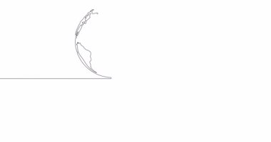 Öz çizim çizgisi animasyonu Bilgisayar faresi sürekli tek bir çizgi çizilmiş konsept videoya bağlandı