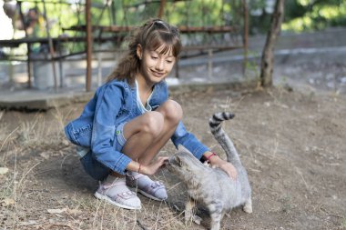 Küçük kız gün batımında kediyle eğleniyor.